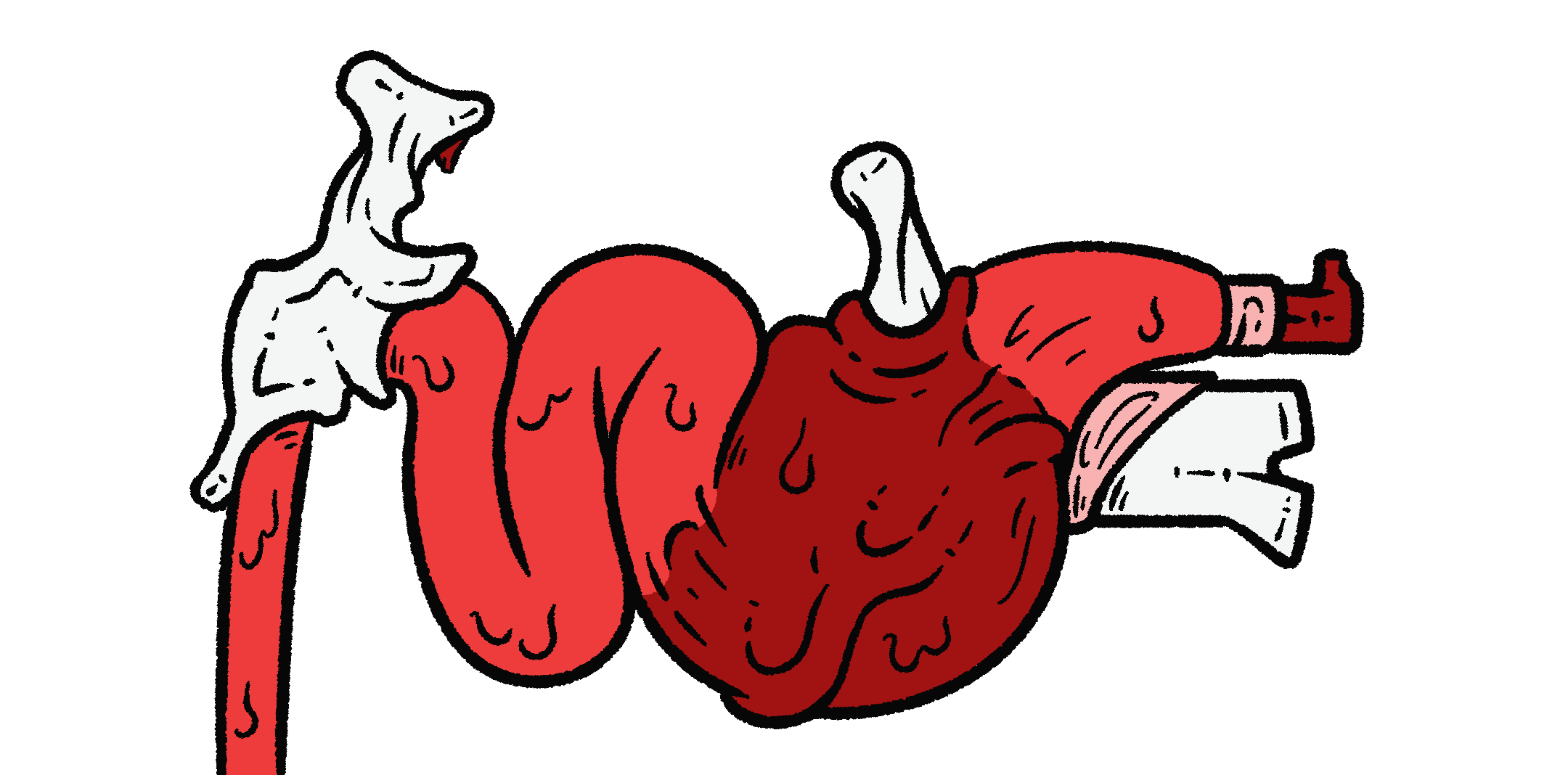 Illustration of a large made from flesh and bone. The body of the gun is made from bulbous red organs, with a bony handle at the back, a grip on top of the body, and a wide underbarrel up front.